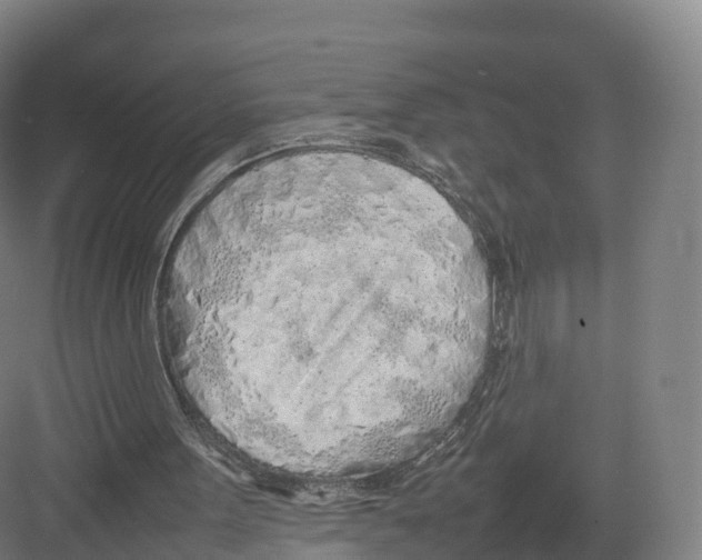 X0000082140099200702162153