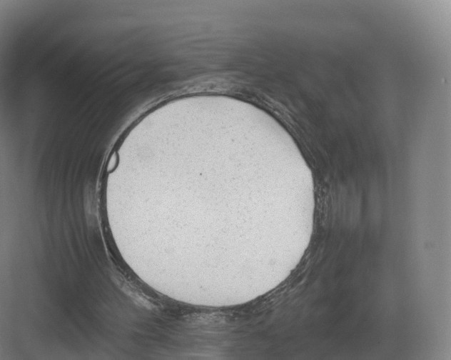 X0000082140100200702162153