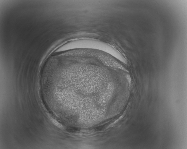 X0000082140101200702162153