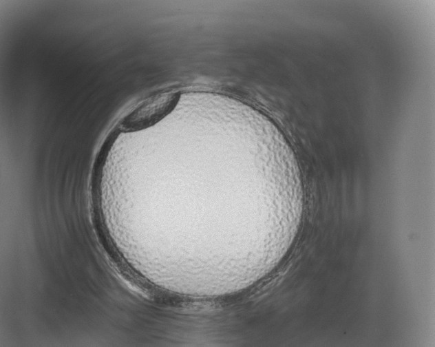 X0000082140102200702162153