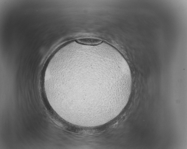 X0000082140103200702162153