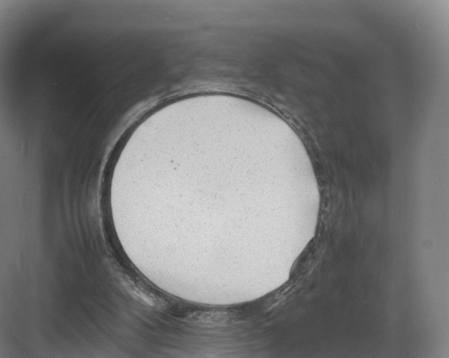 X0000082140104200702162153