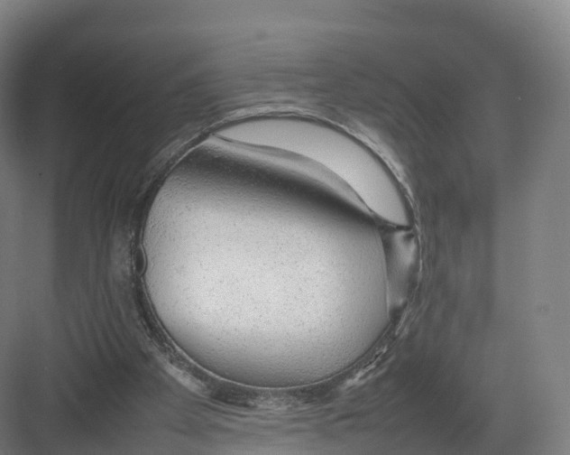 X0000082140105200702162153