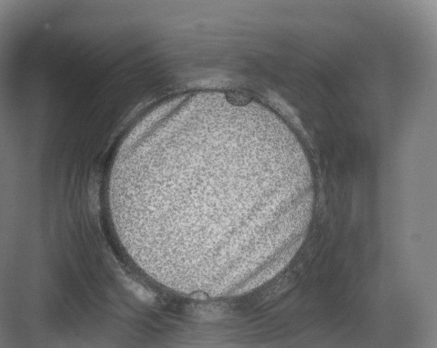 X0000082140106200702162153