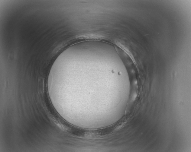 X0000082140109200702162153