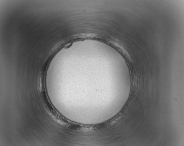 X0000082140110200702162153