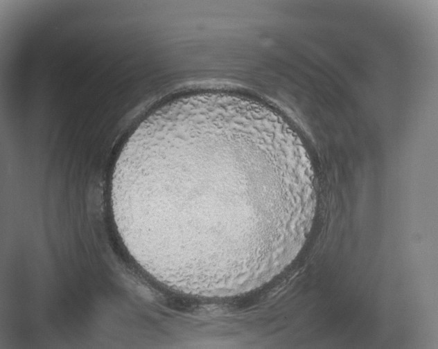 X0000082140111200702162153