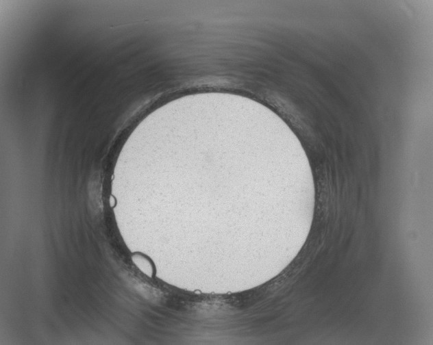 X0000082140112200702162153