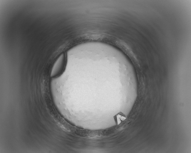 X0000082140114200702162153