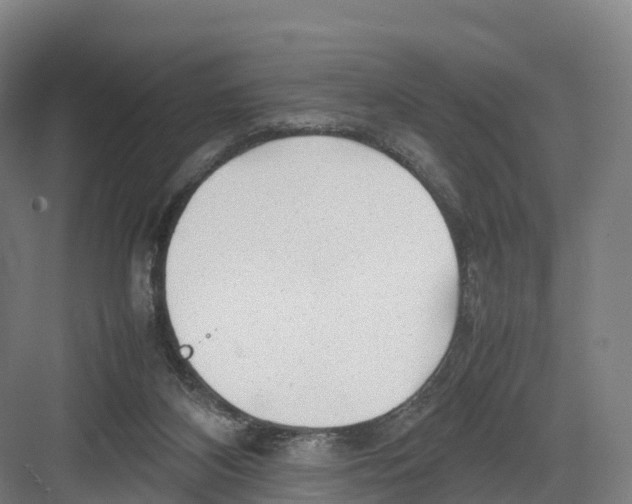 X0000082140116200702162153