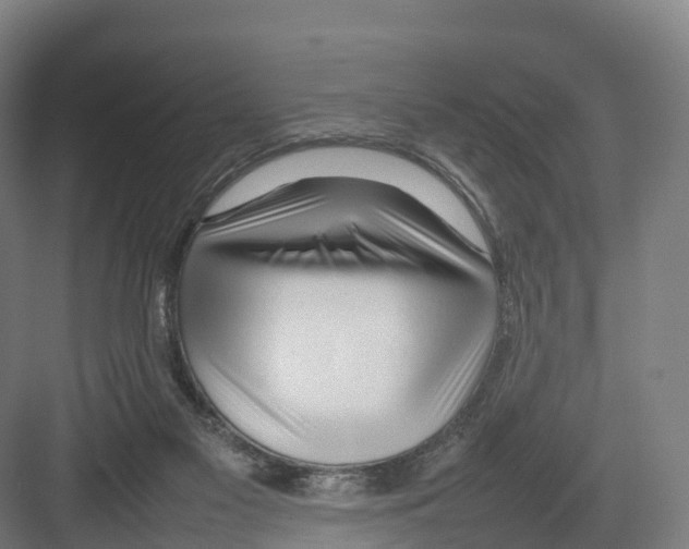 X0000082140117200702162153