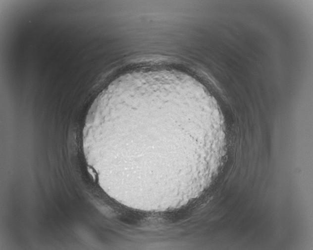 X0000082140119200702162153