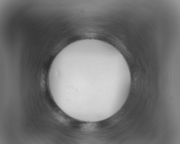 X0000082140122200702162153