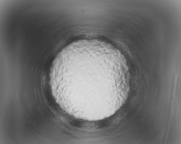 X0000082140123200702162152