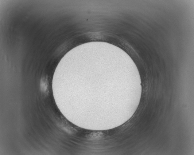 X0000082140124200702162152