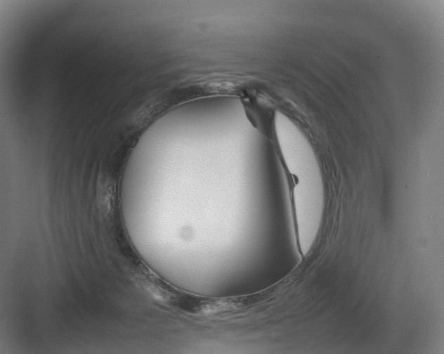 X0000082140125200702162152