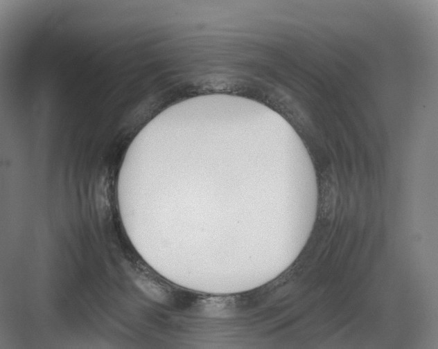 X0000082140126200702162152