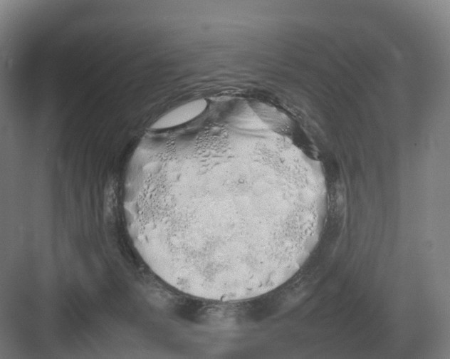 X0000082140127200702162152