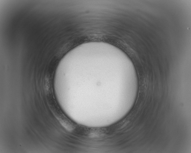 X0000082140130200702162152