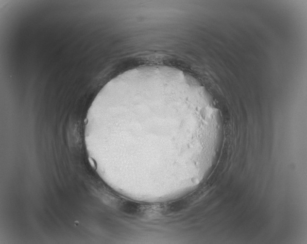 X0000082140131200702162152