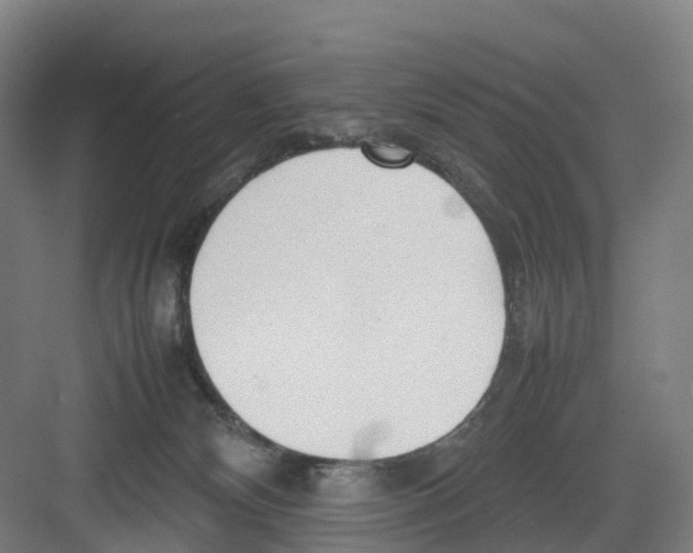 X0000082140132200702162152