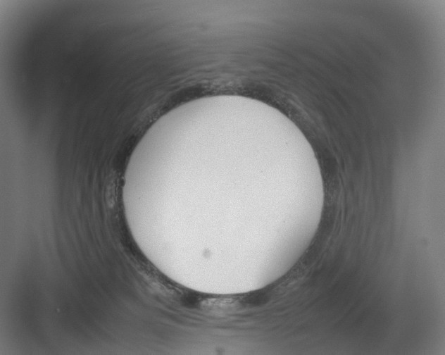 X0000082140133200702162152