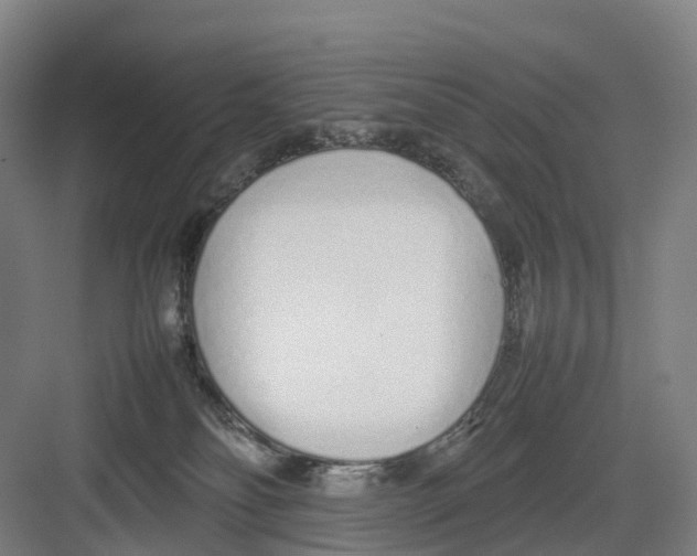 X0000082140134200702162152