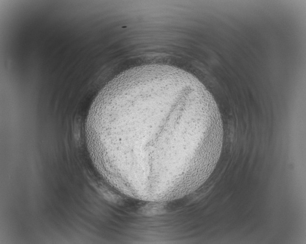 X0000082140138200702162152