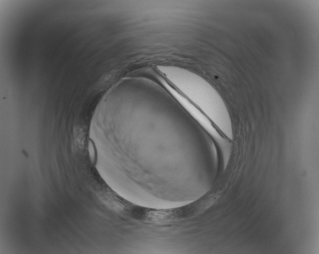 X0000082140139200702162152