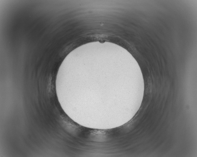 X0000082140140200702162152