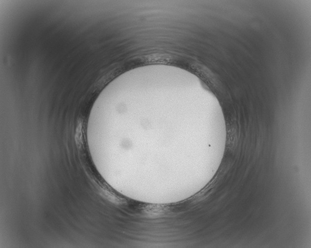 X0000082140142200702162152