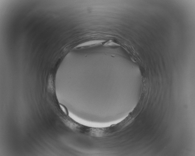 X0000082140143200702162152