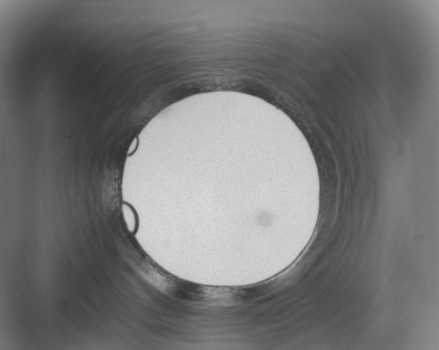 X0000082140144200702162152