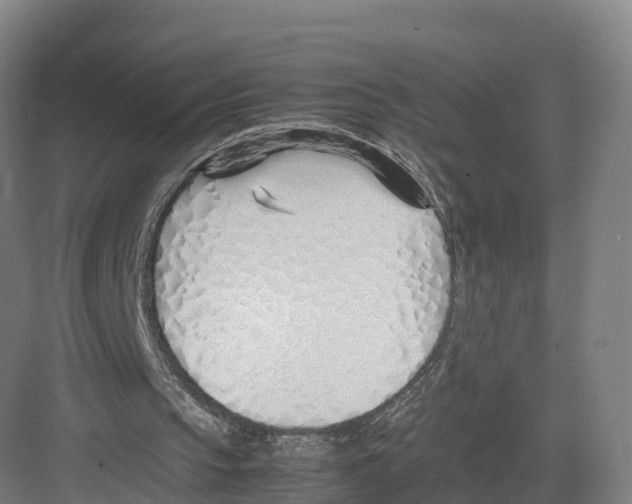 X0000082140145200702162151