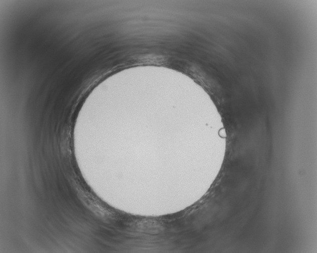 X0000082140146200702162151