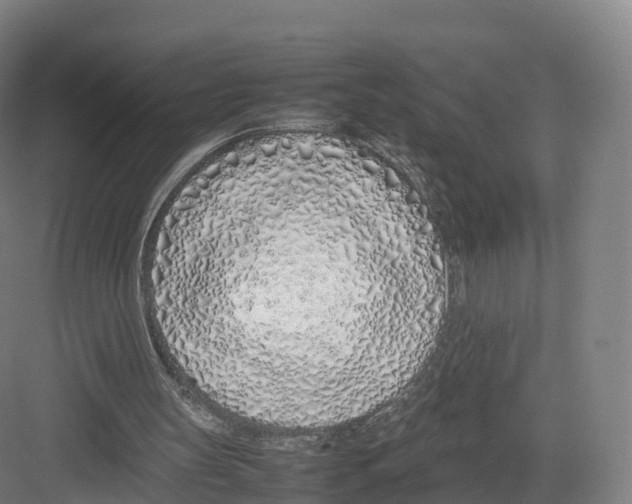 X0000082140147200702162151