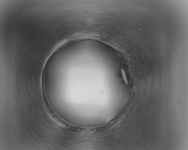 X0000082140148200702162151