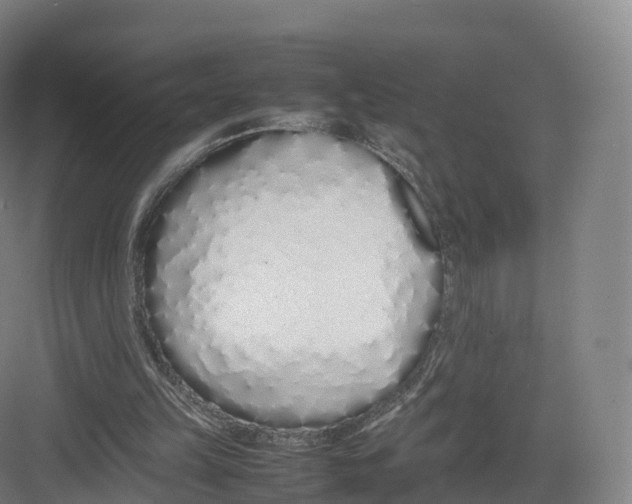 X0000082140149200702162151