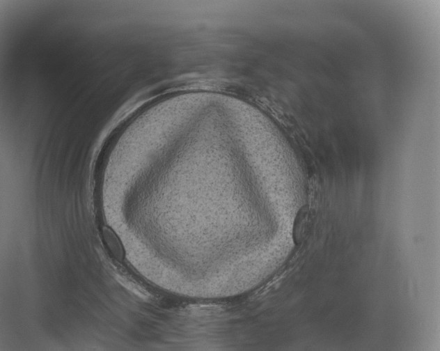 X0000082140150200702162151