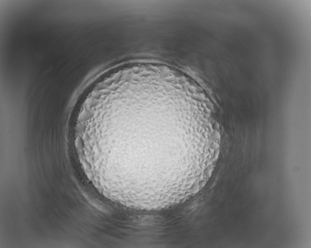 X0000082140151200702162151