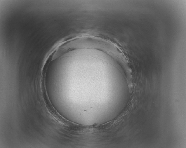 X0000082140152200702162151