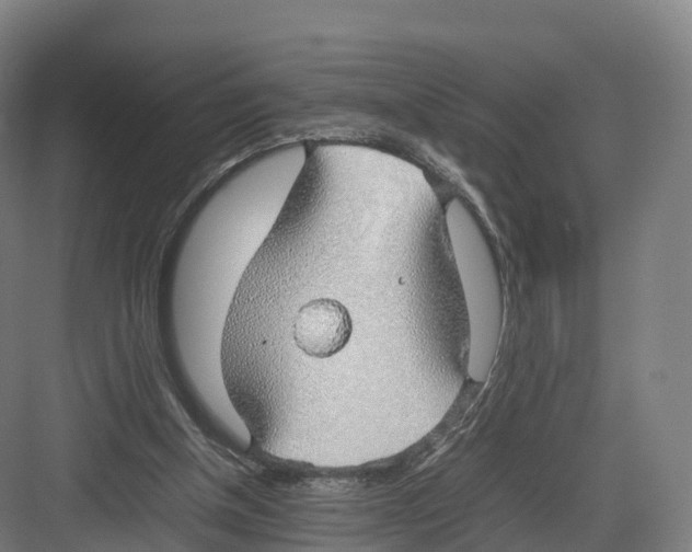 X0000082140154200702162151