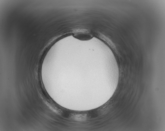 X0000082140155200702162151