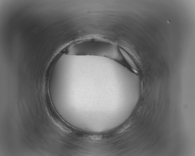 X0000082140156200702162152