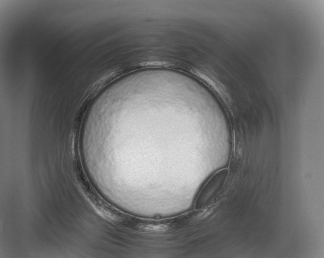 X0000082140157200702162152