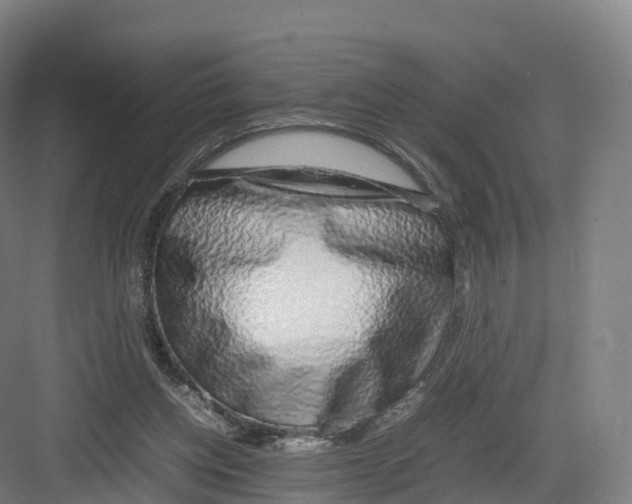 X0000082140158200702162152