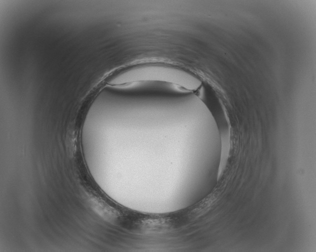 X0000082140160200702162152