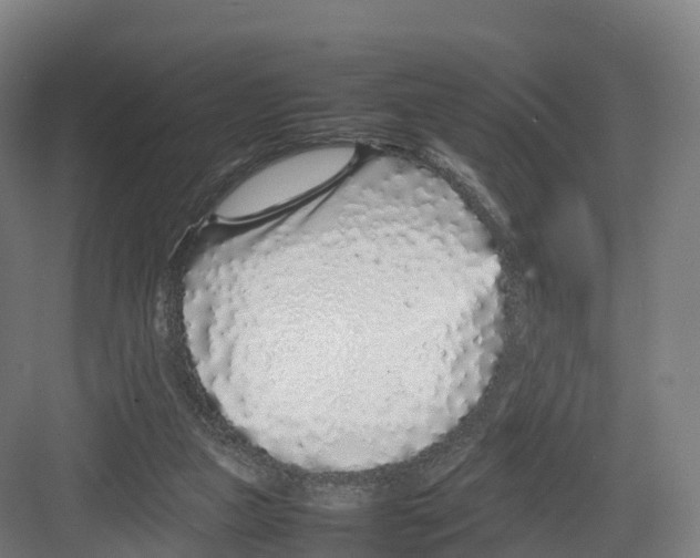 X0000082140161200702162152