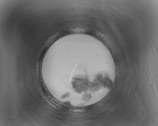 X0000082140163200702162152