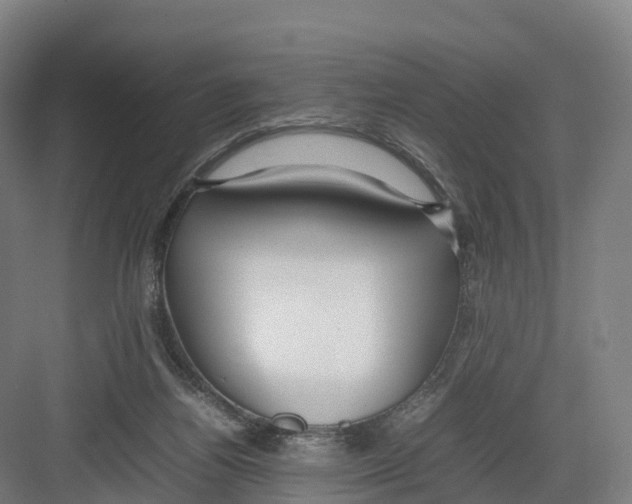 X0000082140164200702162152